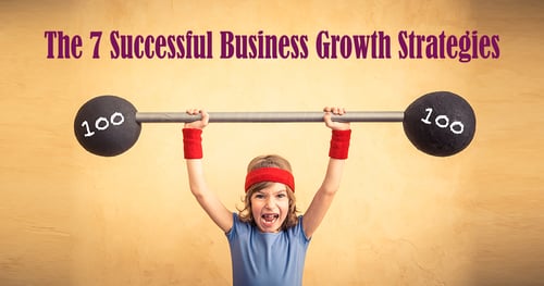 The 7 Successful Business Growth Strategies