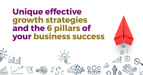 Unique effective growth strategies and the 6 pillars of your business success