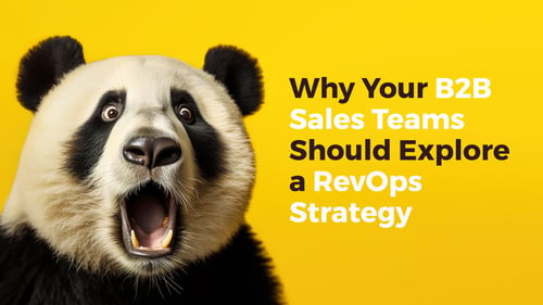 Why Your B2B Sales Teams Should Explore a Revenue Operations Strategy