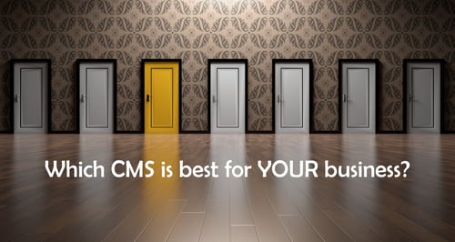 select the best CMS for your business