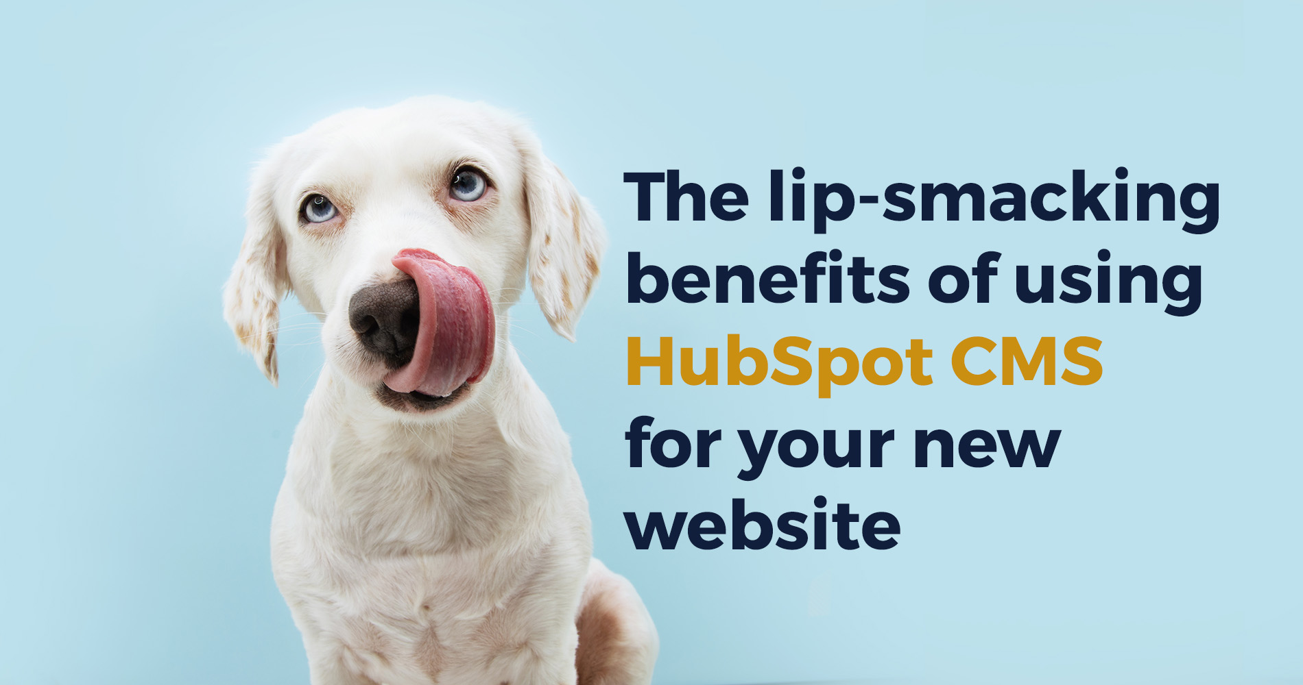 The lip-smacking benefits of using HubSpot CMS for your new website