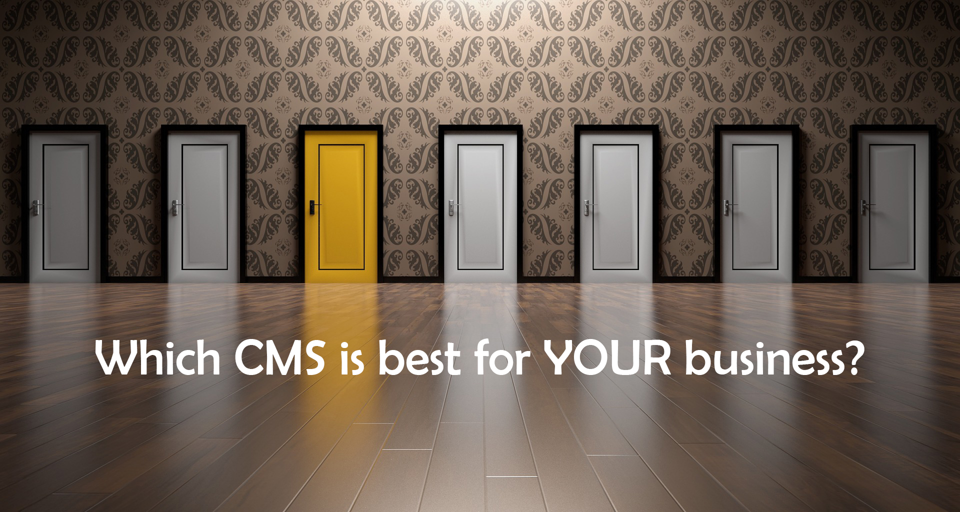 select the best CMS for your business